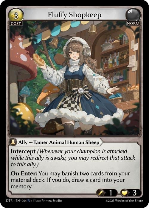Fluffy Shopkeep (064) (Distorted Reflections)