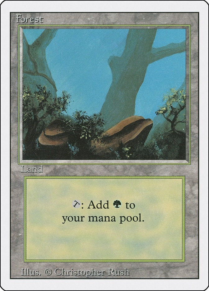 Forest (A) (284) [3ED] - MTG Single