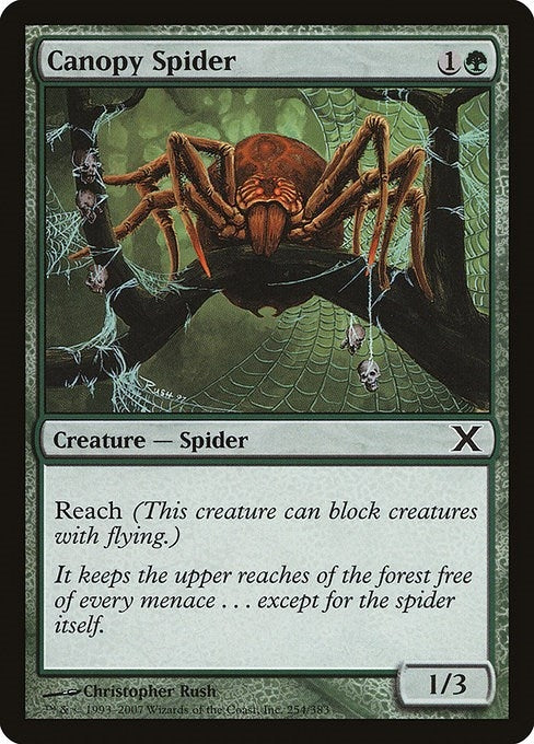 Canopy Spider (254) [10E] - MTG Single