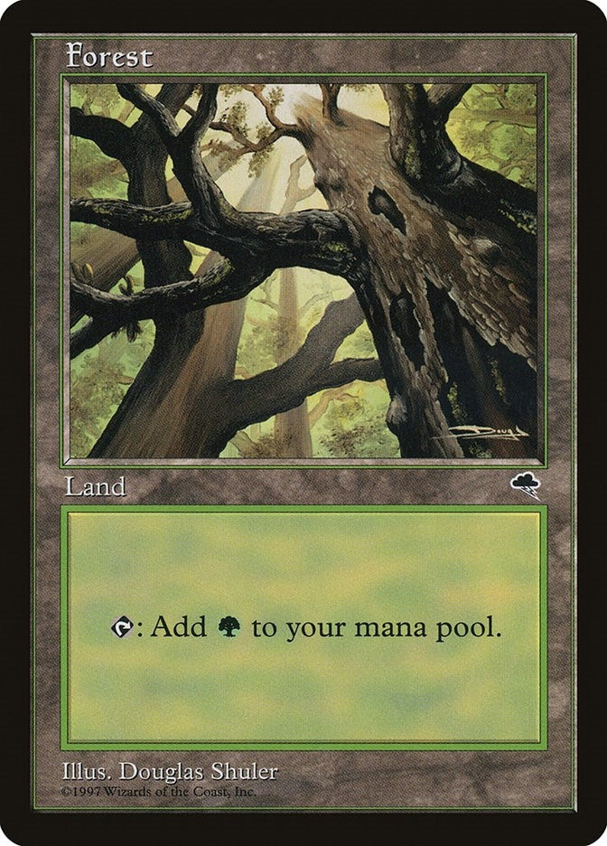 Forest (Skyward) (347) [TMP] - MTG Single