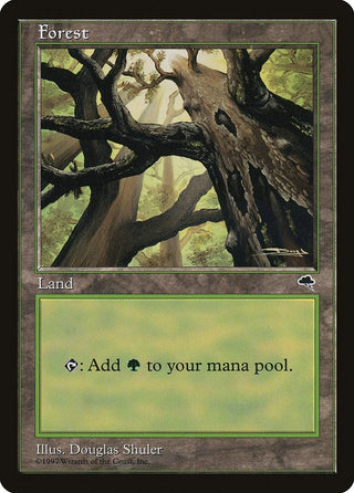 Forest (Skyward) (347) [TMP] - MTG Single