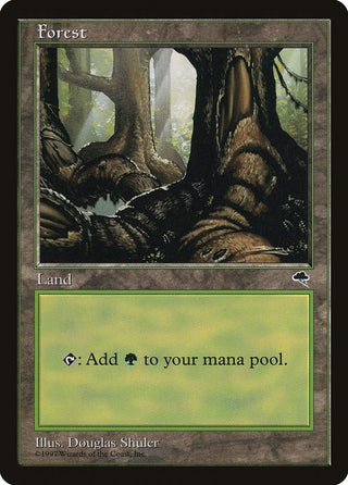 Forest (Pond) (348) [TMP] - MTG Single