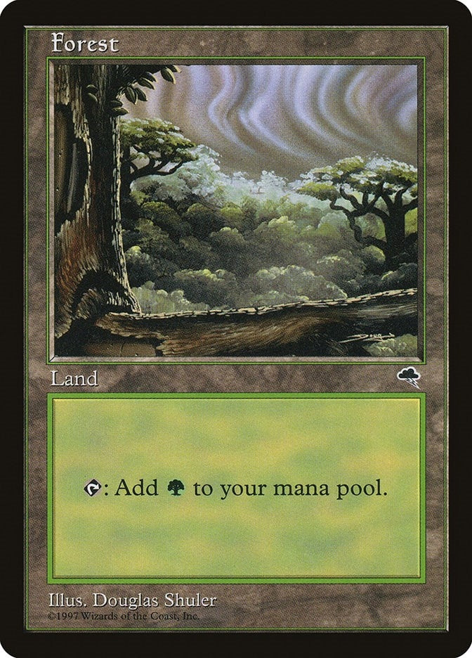 Forest (Cloudy) (349) [TMP] - MTG Single