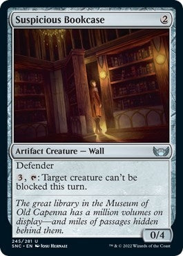Suspicious Bookcase (245) [SNC]