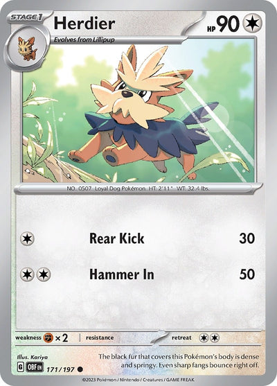 Herdier (171/197) (OBF)