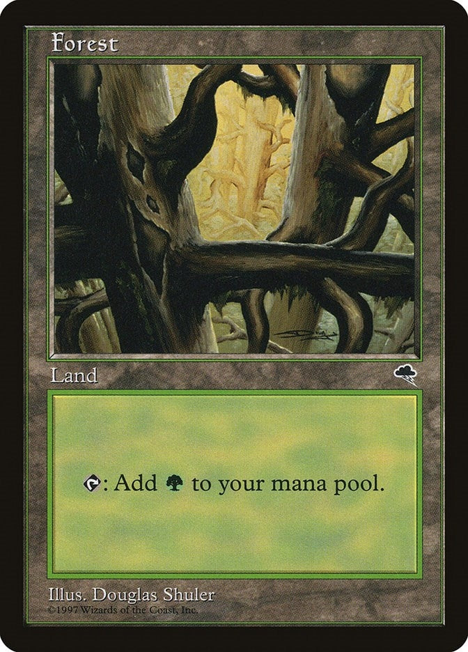 Forest (Ledge) (350) [TMP] - MTG Single