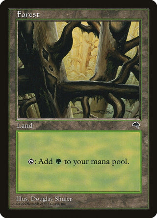 Forest (Ledge) (350) [TMP] - MTG Single