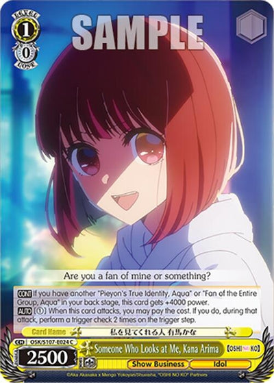 Someone Who Looks at Me, Kana Arima (107024) [OSK]