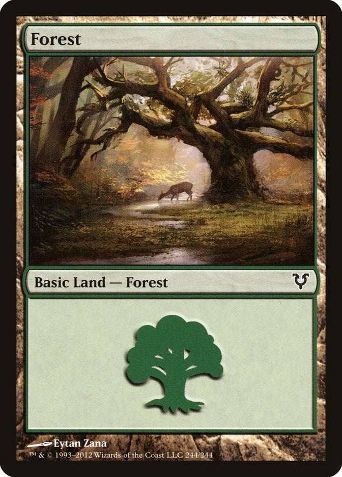 Forest (244) (244) [AVR] - MTG Single