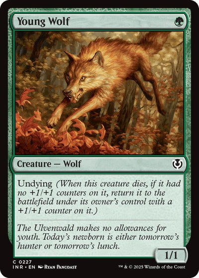 Young Wolf (227) [INR]