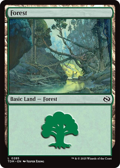 Forest (0285) (285) (Tarkir: Dragonstorm)