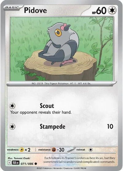 Pidove (071/086) (BLK)