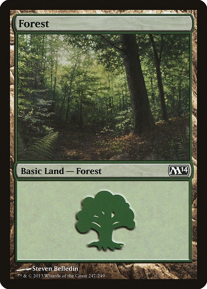 Forest (247) (247) [M14] - MTG Single