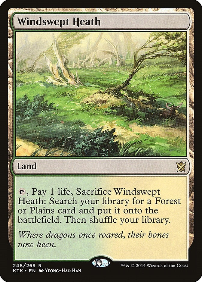 Windswept Heath (248) [KTK] - MTG Single