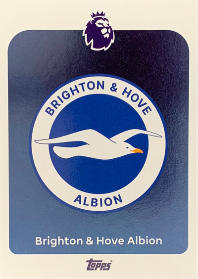 Brighton and Hove Albion Team Badge