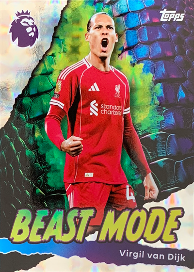 Virgil van Dijk